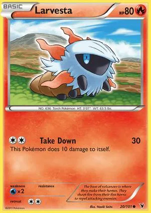 燃烧虫