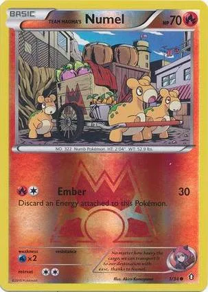 Team Magma's 呆火驼