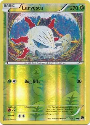 燃烧虫