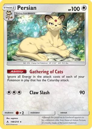 猫老大