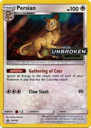 猫老大